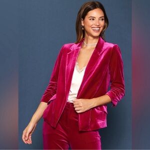Skies Are Blue Pink Velvet Blazer - Worn Once